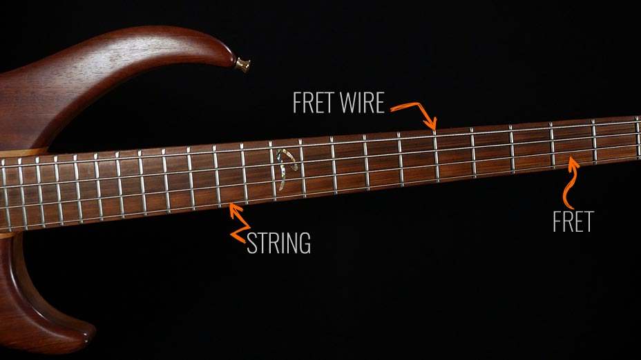 Beginners Bass Basics BassBuzz