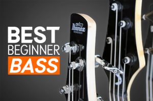 Bass Lessons You Can #39 t Fail With BassBuzz Bass Lessons You Can #39 t Fail With BassBuzz