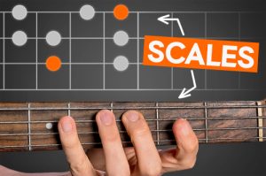 Bass Lessons You Can #39 t Fail With BassBuzz Bass Lessons You Can #39 t Fail With BassBuzz