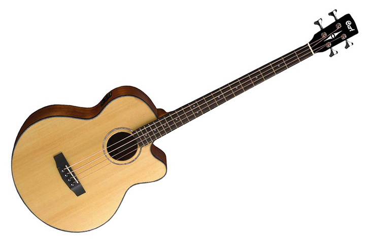 Image of an acoustic bass